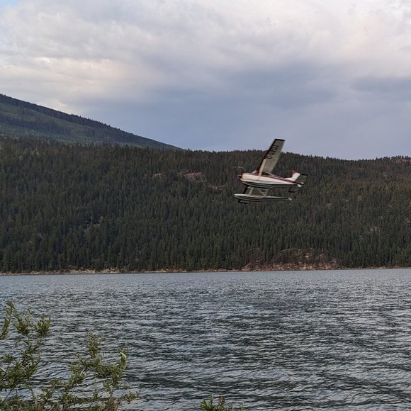 Meet your Posher, L. Webby - Picture 1 of 1